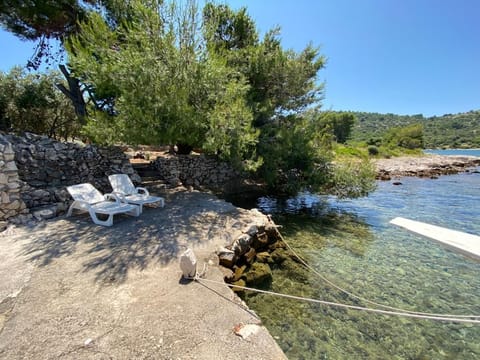 image/jpeg