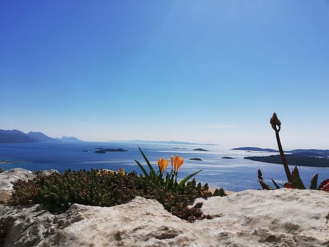 sea-view