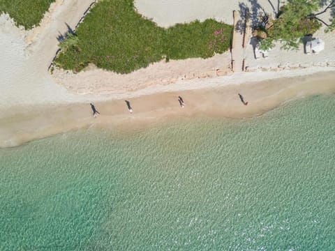 Sani Club Resort in Halkidiki