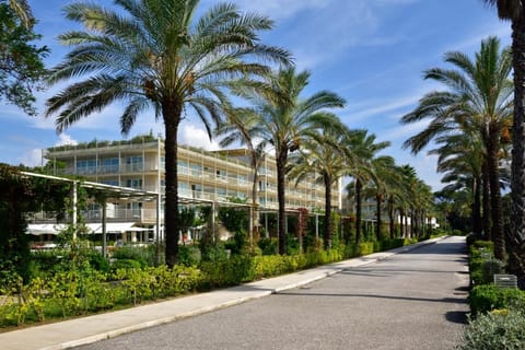 Property view