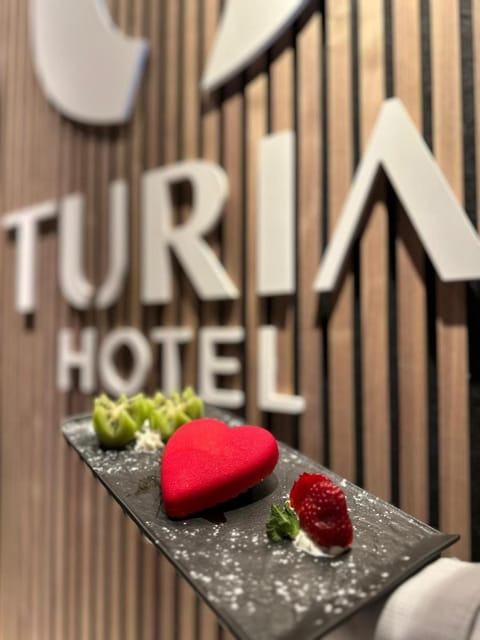 Hotel Turia Hotel in Valencia