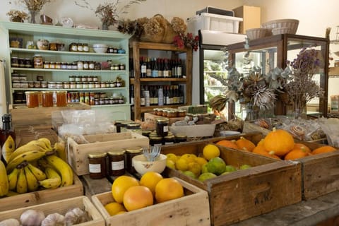 Rozendal Stay Apartment in Stellenbosch