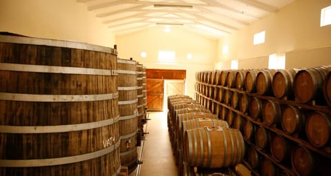 Rozendal Stay Apartment in Stellenbosch