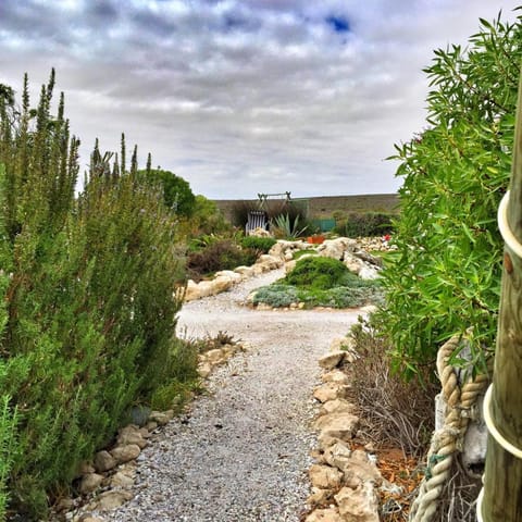 Farr Out Guest House Bed and Breakfast in Western Cape