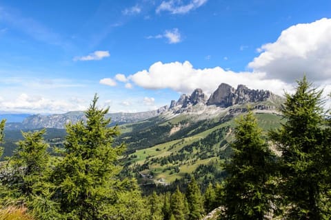 Hotel Peter Hotel in Trentino-South Tyrol