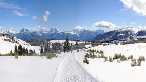 Cityhotel Goldener Adler B&B Hotel in Trentino-South Tyrol