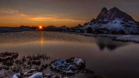 Cityhotel Goldener Adler B&B Hotel in Trentino-South Tyrol