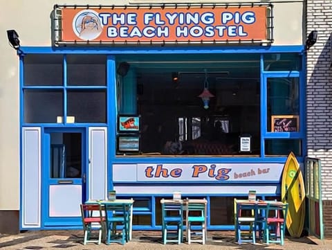 The Flying Pig Beach Hostel Age 18 to 40 Hostel in Noordwijk