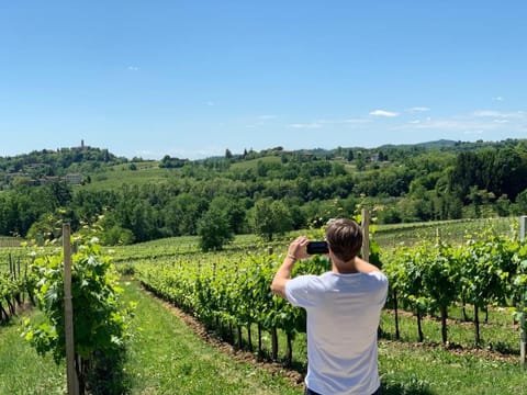 Relais Le Betulle Hotel in Conegliano