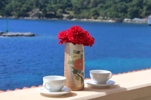 Hotel Bozica Dubrovnik Islands Hotel in Dubrovnik-Neretva County