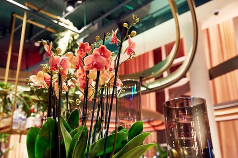 Lindner Hotel Antwerp, part of JdV by Hyatt Hotel in Antwerp