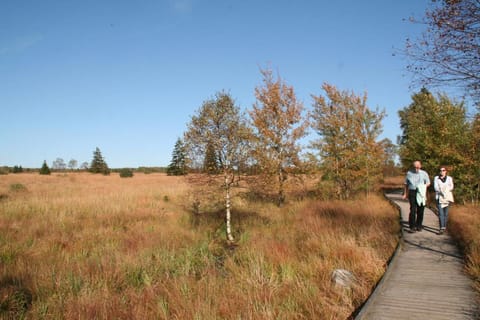 ibis budget Aachen Raeren Grenze Hotel in Aachen