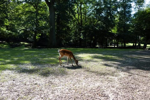 Helnan Marselis Hotel Hotel in Aarhus