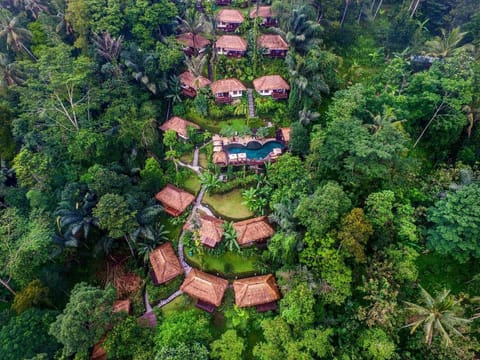 Nandini Jungle by Hanging Gardens Resort in Payangan
