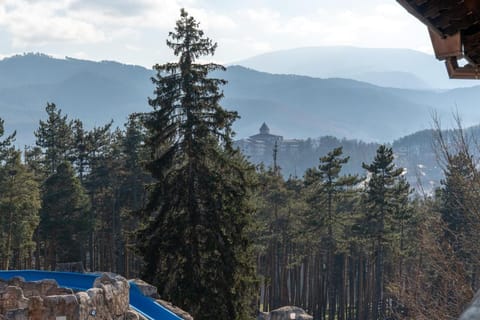 Spa Hotel Dvoretsa Hotel in Velingrad