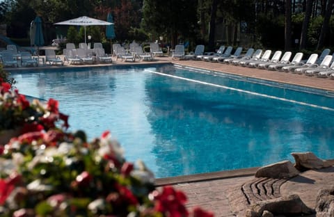 Spa Hotel Dvoretsa Hotel in Velingrad
