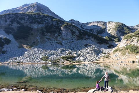 Kralev Dvor Hotel Hotel in Bansko