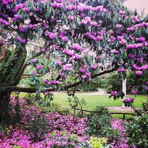 Sea Breeze Apartment Apartment in Saint Austell