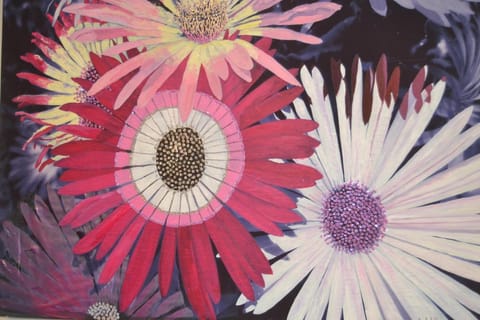 Southbank Guesthouse Bed and Breakfast in Elgin