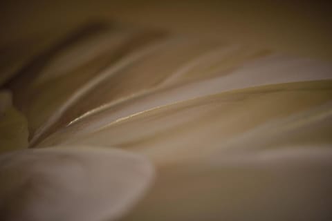 New Inn Hotel Hotel in West Oxfordshire District