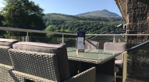 The Grapes Hotel Hotel in Trawsfynydd