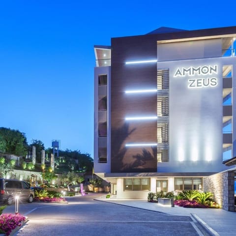 Ammon Zeus Hotel Hotel in Halkidiki