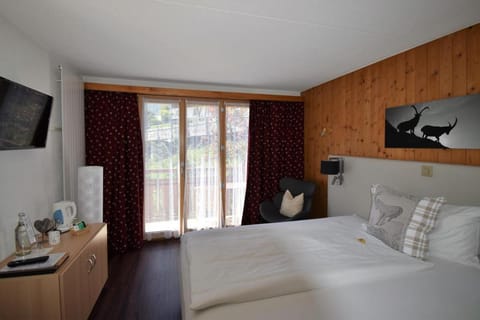 Hotel Cabana Hotel in Grindelwald