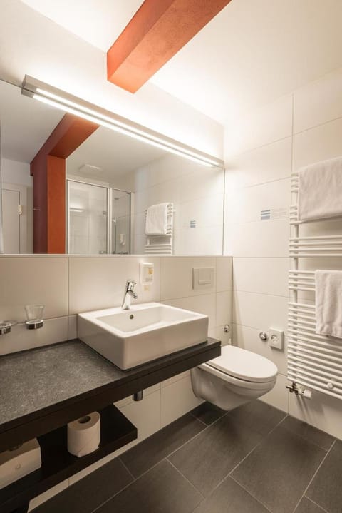 Hotel Alpina Luzern Hotel in Lucerne