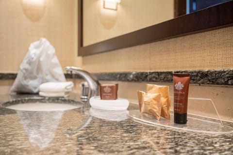 Sheraton Grand Rio Hotel & Resort Hotel in Santa Teresa