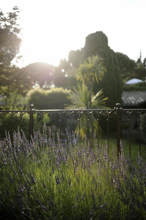 Auberge de Cassagne & Spa Hotel in Le Pontet