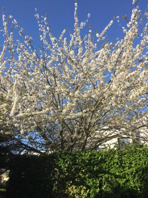 Hotel Arcantis Le Voltaire Hotel in Rennes