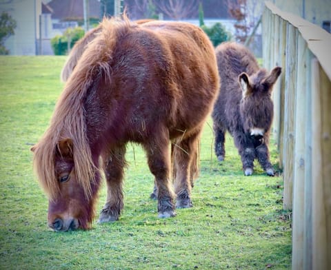 CAMPANILE VAL DE France Hotel in Magny-le-Hongre
