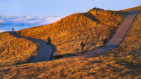 Hotel Albert Elisabeth Gare SNCF Hotel in Clermont-Ferrand