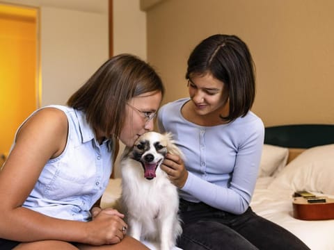 Hotel ibis Autun Hotel in Autun