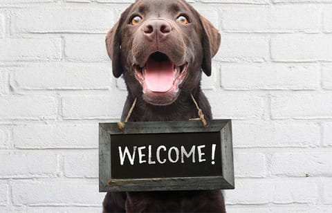 Hotel Beaucour Hotel in Strasbourg