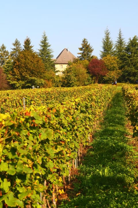 Château de Candie Hotel in Chambery