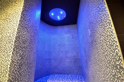 Holiday Inn Dijon Toison Dor By IHG Hotel in Dijon