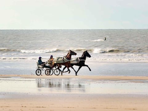 Mercure Deauville Centre Hotel in Deauville