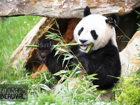 Hotel Mercure Tours Sud Hotel in Joué-lès-Tours