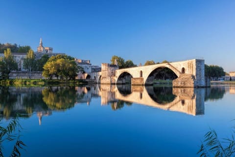 Mercure Pont D'Avignon Centre Hotel in Avignon