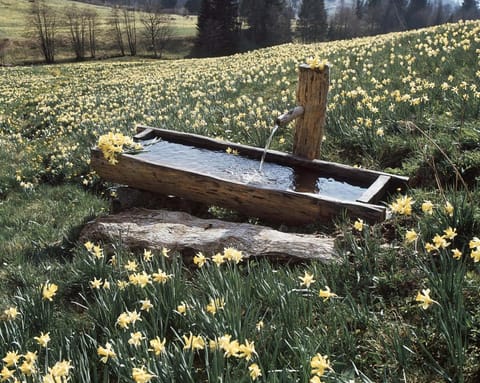 Le Grand Hotel & Spa Hotel in Gérardmer