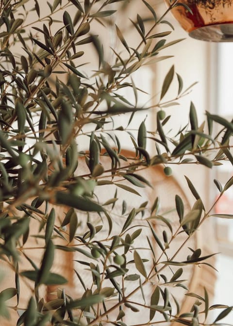 Town Hotel Wiesbaden - kleines Privathotel in Bestlage Hotel in Wiesbaden