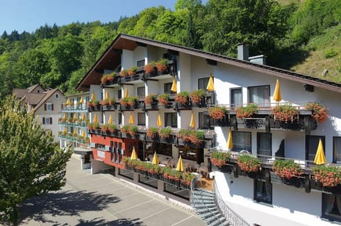 Flair Hotel Sonnenhof Hotel in Forbach