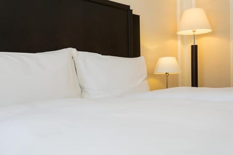 Hotel Euler Basel Hotel in Basel