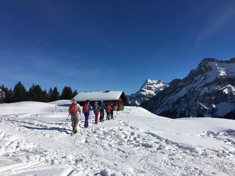 ERMITAGE Wellness- & Spa-Hotel Hotel in Saanen