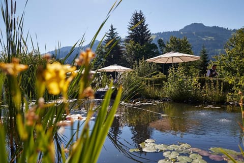 ERMITAGE Wellness- & Spa-Hotel Hotel in Saanen