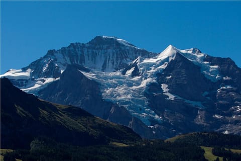 Hotel & Spa Silberhorn Wengen Apartment hotel in Lauterbrunnen