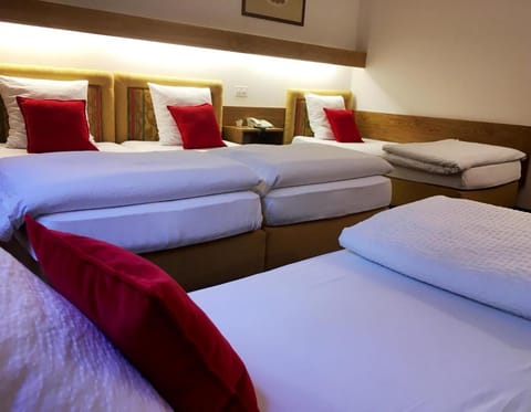 Hôtel de la Forêt Hotel in Crans-Montana