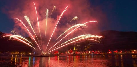 Hotel Am Martinsberg Hotel in Andernach