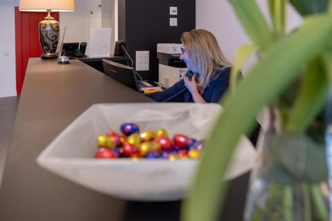 Hotel Geranio Au Lac Hotel in Locarno